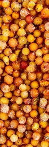 Sanddornbeeren ganz Bio