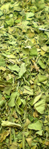Moringa Blätter geschnitten Bio